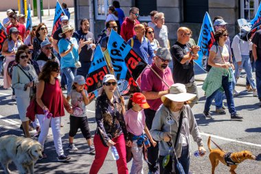 PONTEVEDRA, İspanya - 16 Haziran 2019: Ria de Pontevedra kıyılarında yer alan pasta endüstrisine karşı ekolojik gösteri.