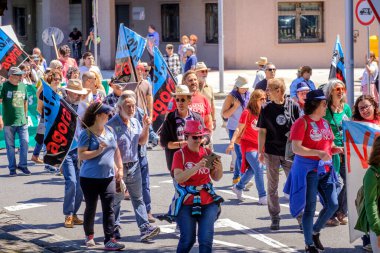 PONTEVEDRA, İspanya - 16 Haziran 2019: Ria de Pontevedra kıyılarında yer alan pasta endüstrisine karşı ekolojik gösteri.