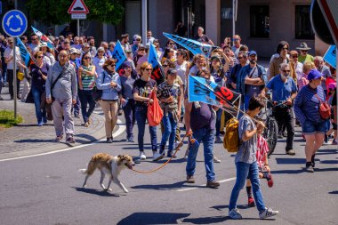 PONTEVEDRA, İspanya - 16 Haziran 2019: Ria de Pontevedra kıyılarında yer alan pasta endüstrisine karşı ekolojik gösteri.
