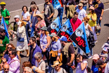 PONTEVEDRA, İspanya - 16 Haziran 2019: Ria de Pontevedra kıyılarında yer alan pasta endüstrisine karşı ekolojik gösteri.