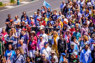 PONTEVEDRA, İspanya - 16 Haziran 2019: Ria de Pontevedra kıyılarında yer alan pasta endüstrisine karşı ekolojik gösteri.