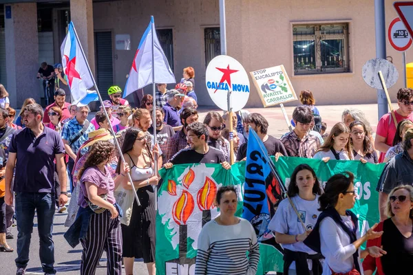 Pontevedra Spagna Giugno 2019 Manifestazione Ecologica Contro Industria Pasticcera Situata — Foto Stock