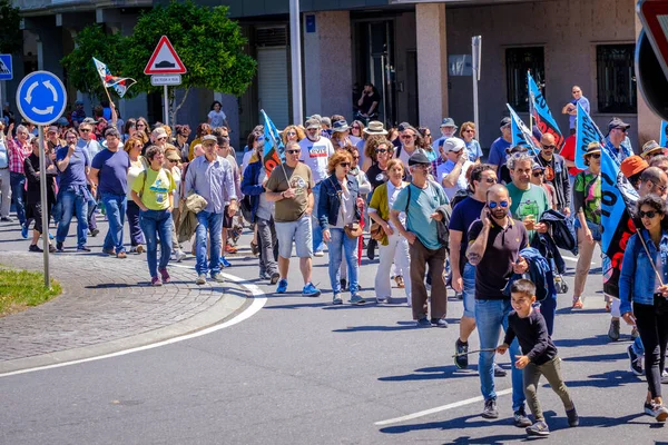 PONTEVEDRA, İspanya - 16 Haziran 2019: Ria de Pontevedra kıyılarında yer alan pasta endüstrisine karşı ekolojik gösteri.