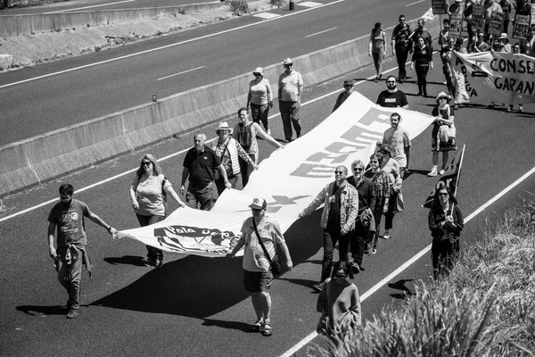 PONTEVEDRA, İspanya - 16 Haziran 2019: Ria de Pontevedra kıyılarında yer alan pasta endüstrisine karşı ekolojik gösteri.