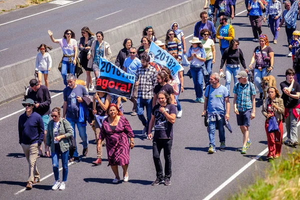 PONTEVEDRA, İspanya - 16 Haziran 2019: Ria de Pontevedra kıyılarında yer alan pasta endüstrisine karşı ekolojik gösteri.