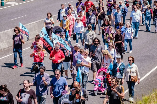 PONTEVEDRA, İspanya - 16 Haziran 2019: Ria de Pontevedra kıyılarında yer alan pasta endüstrisine karşı ekolojik gösteri.