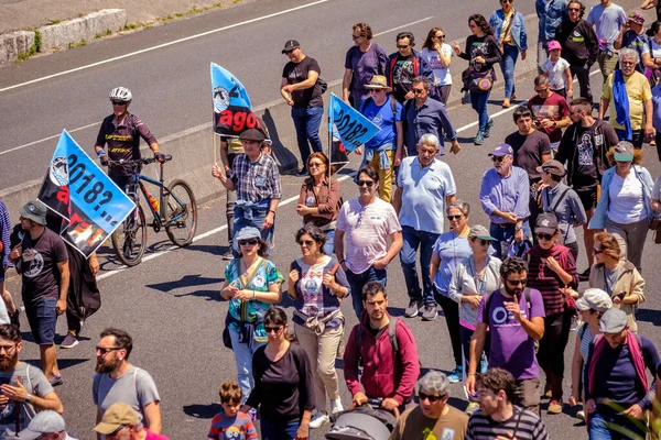PONTEVEDRA, İspanya - 16 Haziran 2019: Ria de Pontevedra kıyılarında yer alan pasta endüstrisine karşı ekolojik gösteri.