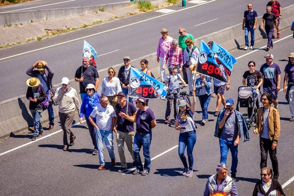PONTEVEDRA, İspanya - 16 Haziran 2019: Ria de Pontevedra kıyılarında yer alan pasta endüstrisine karşı ekolojik gösteri.