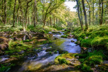 Rio Xesta, Sierra del Suido, Pontevedra ve Orense eyaletleri arasında sınır komşusu olan Galiçya 'nın bir dağ sistemi.