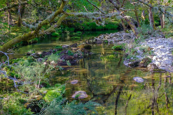 Rio Xesta Sierra Del Suido Sistema Montanhoso Galego Que Faz — Fotografia de Stock