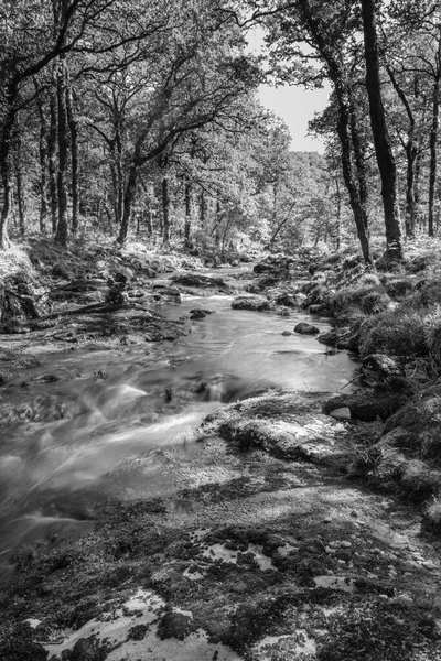 Rio Xesta Στο Sierra Del Suido Ένα Ορεινό Σύστημα Της — Φωτογραφία Αρχείου