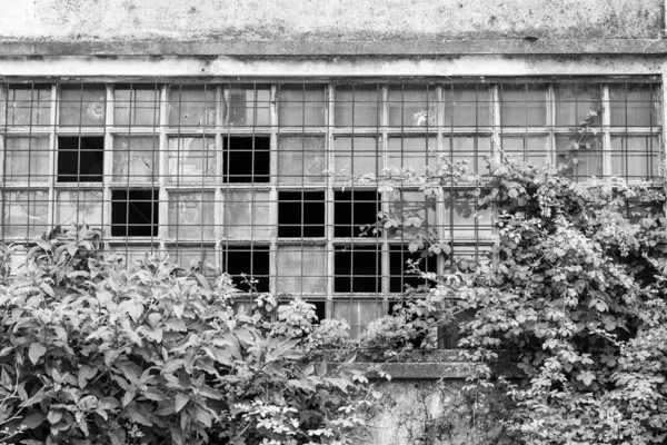 Okno Kratami Czerwonym Szkłem Opuszczonym Magazynie Przemysłowym — Zdjęcie stockowe