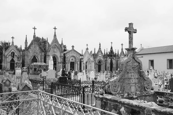 Caminha Portugal May 2018 Municipal Catholic Village Cemetery Numerous Pantheons — Stock Photo, Image