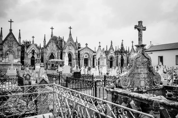 Caminha Portugalia Maj 2018 Miejski Cmentarz Katolicki Wsi Licznymi Panteonami — Zdjęcie stockowe