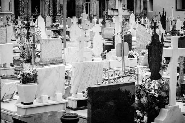 Caminha Portugal Maj 2018 Kommunal Katolsk Kyrkogård Med Många Panteoner — Stockfoto