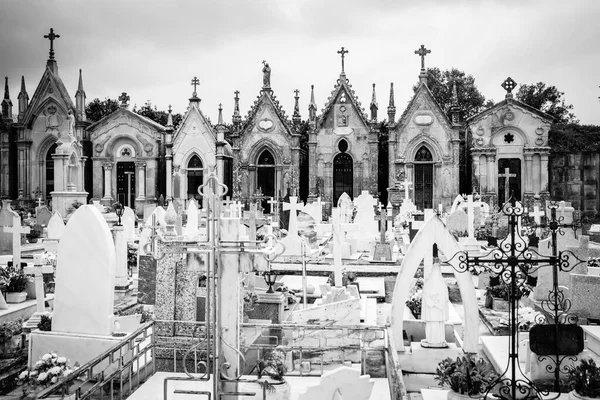 Caminha Portugal Mayo 2018 Cementerio Municipal Del Pueblo Católico Con —  Fotos de Stock