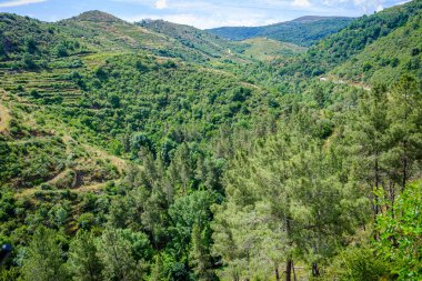 Manzaneda 'daki dağlar, İspanya' ya ait bir belediye. 
