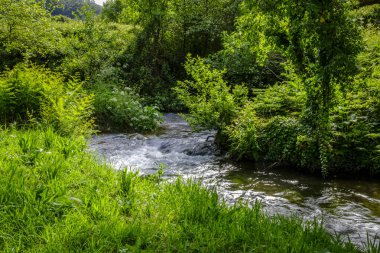 Bueu, Galiçya 'da (İspanya) bir değirmeni besleyen küçük bir dere)