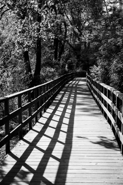 Paseo Madera Junto Río Gafos Pontevedra Galicia España — Foto de Stock