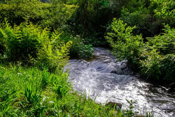 Small stream that feeds a mill in Bueu, Galicia (Spain)