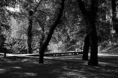 Galiçya 'nın Pontevedra kentinde, Gafos nehrinin yanındaki tahta patika (İspanya))