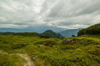 Güzel Avusturya Alplerinde. Avusturya dağ manzarası