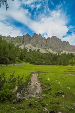 Güzel Avusturya Alplerinde. Avusturya dağ manzarası