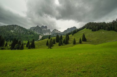 Güzel Avusturya Alplerinde. Avusturya dağ manzarası
