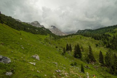 Güzel Avusturya Alplerinde. Avusturya dağ manzarası