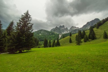 Avusturya'da güzel dağ manzarası