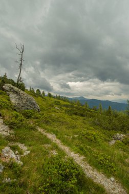 Güzel Avusturya Alplerinde. Avusturya dağ manzarası