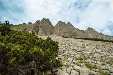Güzel Avusturya Alplerinde. Avusturya dağ manzarası