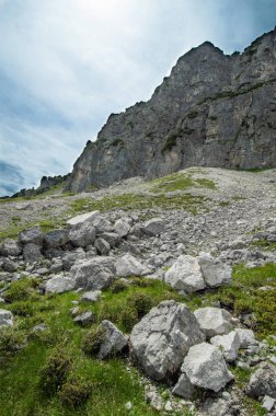 Avusturya'da güzel dağ manzarası
