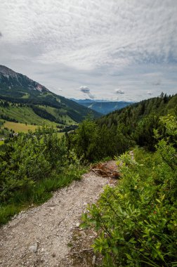 Avusturya'da güzel dağ manzarası
