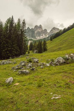 Güzel Avusturya Alplerinde. Avusturya dağ manzarası