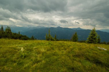 Güzel Avusturya Alplerinde. Avusturya dağ manzarası