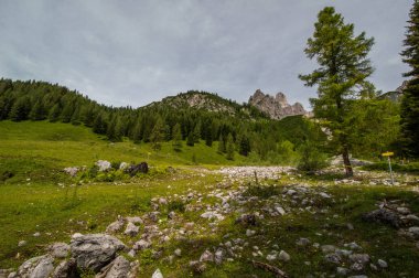 Avusturya'da güzel dağ manzarası