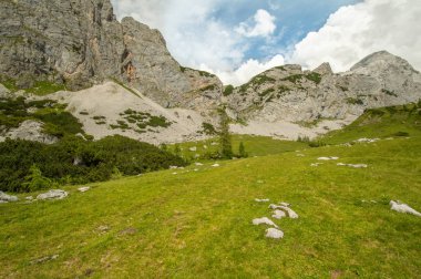 Güzel Avusturya Alplerinde. Avusturya dağ manzarası