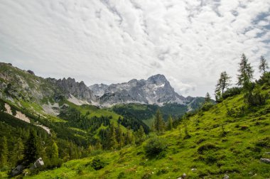 Avusturya'da güzel dağ manzarası
