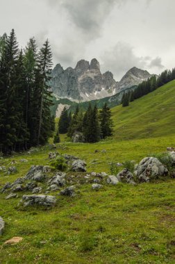Güzel Avusturya Alplerinde. Avusturya dağ manzarası