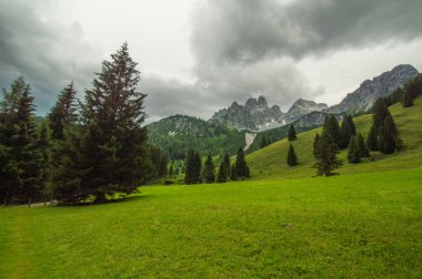 Avusturya'da güzel dağ manzarası