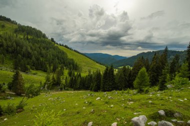 Güzel Avusturya Alplerinde. Avusturya dağ manzarası