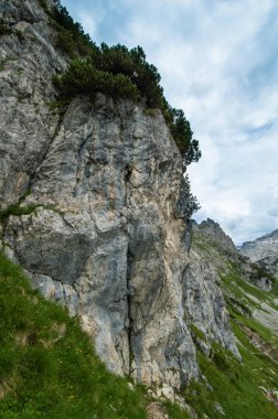 Avusturya'da güzel dağ manzarası