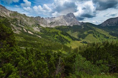 Avusturya'da güzel dağ manzarası