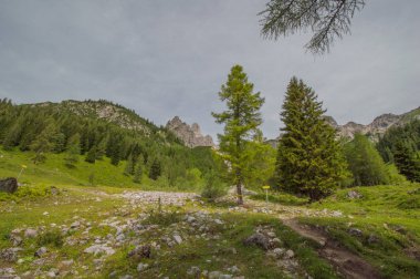 Güzel Avusturya Alplerinde. Avusturya dağ manzarası