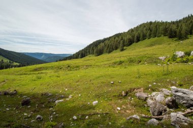 Güzel Avusturya Alplerinde. Avusturya dağ manzarası