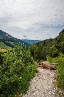 Avusturya'da güzel dağ manzarası