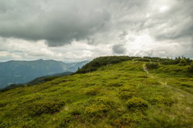 Güzel Avusturya Alplerinde. Avusturya dağ manzarası
