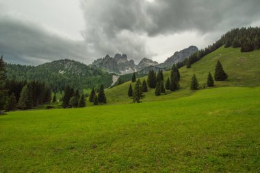 Güzel Avusturya Alplerinde. Avusturya dağ manzarası