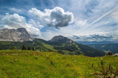 Avusturya'da güzel dağ manzarası